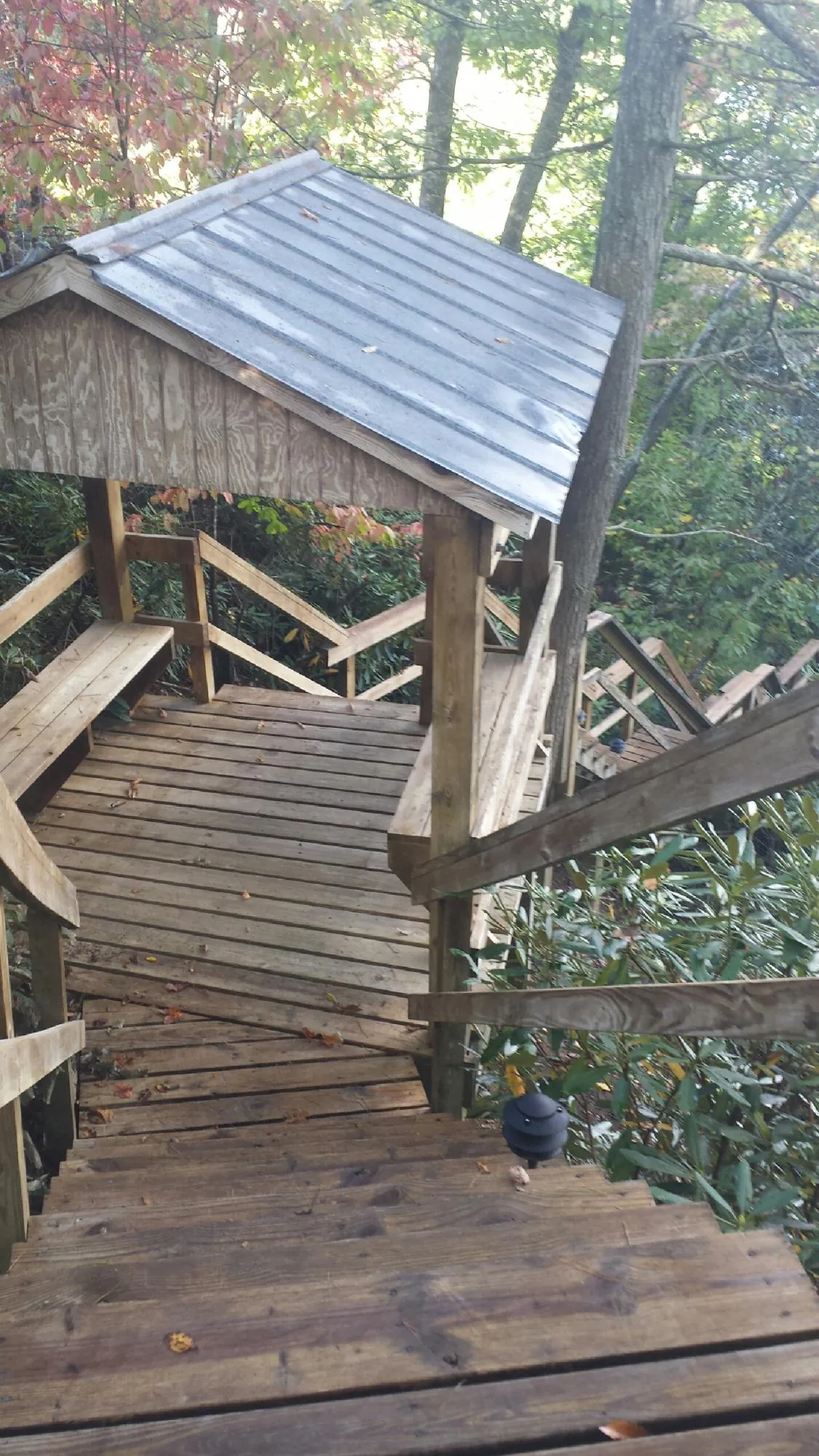 Metal roofed shelter over wooden steps on a wooded walkway — Skylight Repair & Installation work by our crew in Covesville